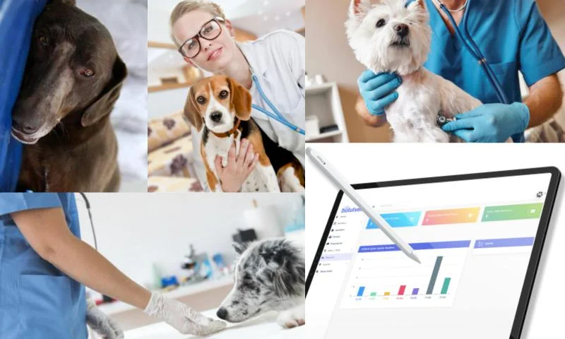 Veteriner Programı İle Müşteri ve Pet Yönetimi