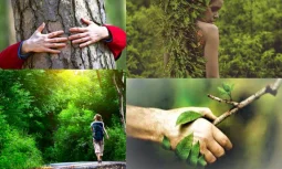 Doğanın İnsan Üzerindeki Etkisi