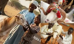 Kurban Bağışı ile Umuda Ortak Olun