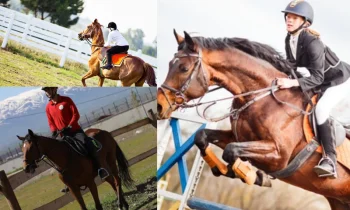 At Biniciliği: Eğlenceli ve Heyecan Verici Bir Spor