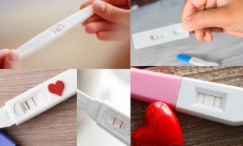 İdrarda Hamilelik Testi Nedir, Nasıl Yapılır?