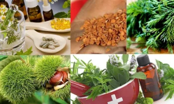 Hemoroid Bitkisel Ürün Faydaları