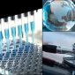 ISO 13485 Tıbbi Cihazlar İçin Kalite Yönetim Sistemi