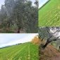 Akçay’da Satılık Arsa Özellikleri Nelerdir?