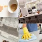 Natural Stone Suppliers Nerede Bulunur?