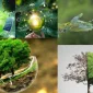 Tasarruf İçin Doğayı Koruyun