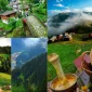 Karadeniz’in Sesi İle Güncel Haberlere Ulaşın