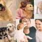 Köpeklerin Beslenmesinde Dikkat Edilecekler