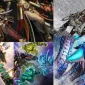 Metin2 Pvp