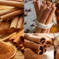 Cinnamon: A Cure for All Ailments